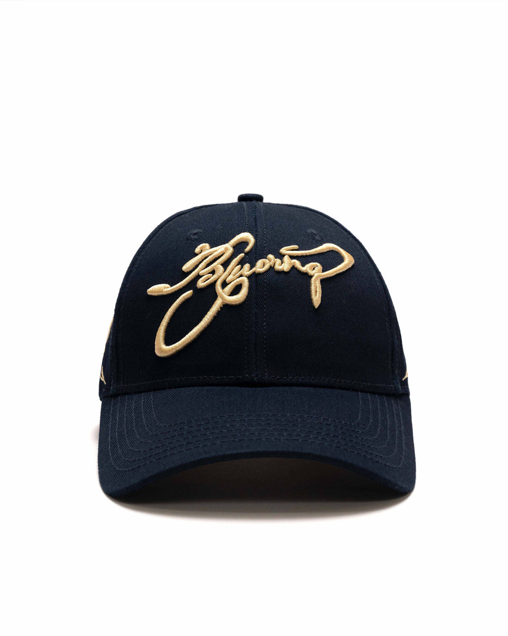 Navy & Beige Cap